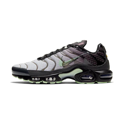 Nike Air Max Plus 'Future Swoosh'
