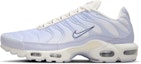 Buy Nike Air Max Plus 'Ghost' IH0269-030