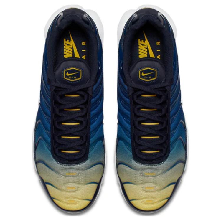 Shop Nike Air Max Plus ''Gradient Pack'' Colori Sfumati 852630-407