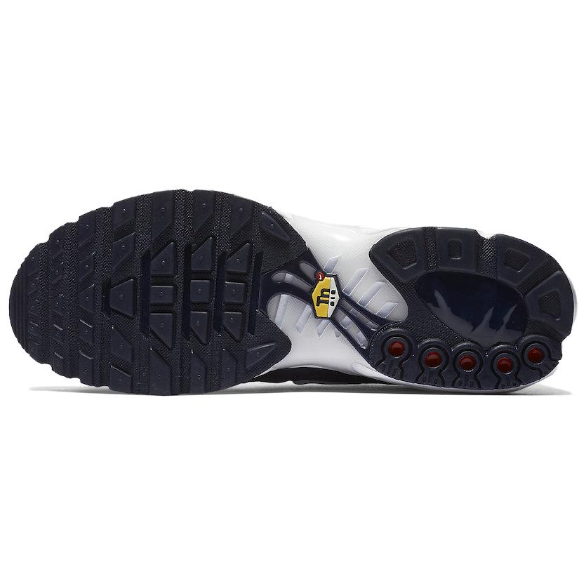 Details for Nike Air Max Plus ''Gradient Pack'' Colori Sfumati 852630-407