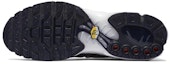 Details for Nike Air Max Plus 'Pek Gradien' 852630-407