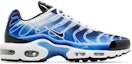 Buy Nike Air Max Plus 'Fotografi Ringan - Old Royal' DZ3531-400
