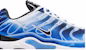 Nike Air Max Plus 'Fotografi Ringan - Old Royal' DZ3531-400