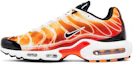 Lookbook Nike Air Max Plus ''Photographie Légère'' DZ3531-600