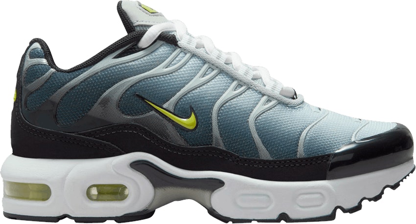Air max plus cactus outlet