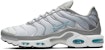Nike Air Max Plus 'Kelabu Asap Cerah Ais Glasier' CZ7552-002