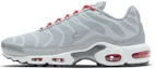Buy ナイキ エア マックス プラス "ライトスモークグレーレッド" DD7112-001