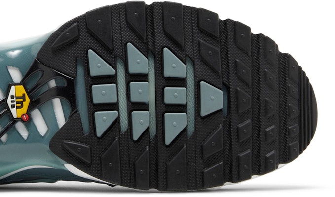 Nike Air Max Plus 'Origins Waterway' FV0394-300 Purchase Nike Air Max Plus 'Origins Waterway' FV0394-300