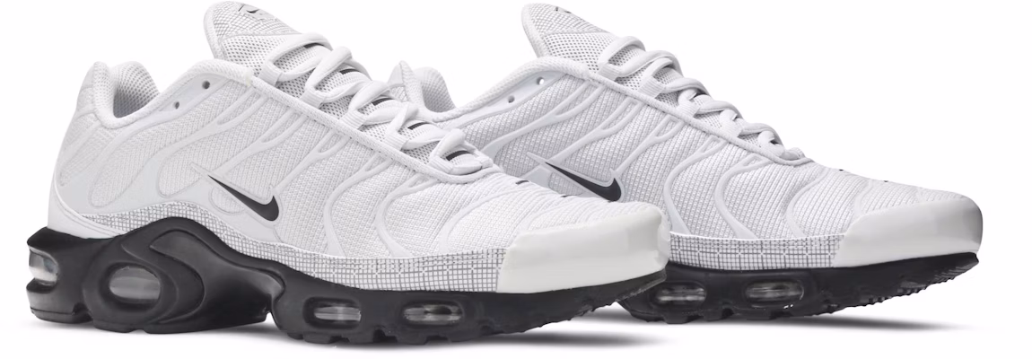 Nike Air Max Plus Platinum Black CT2542 001 CT2542 001 Novelship