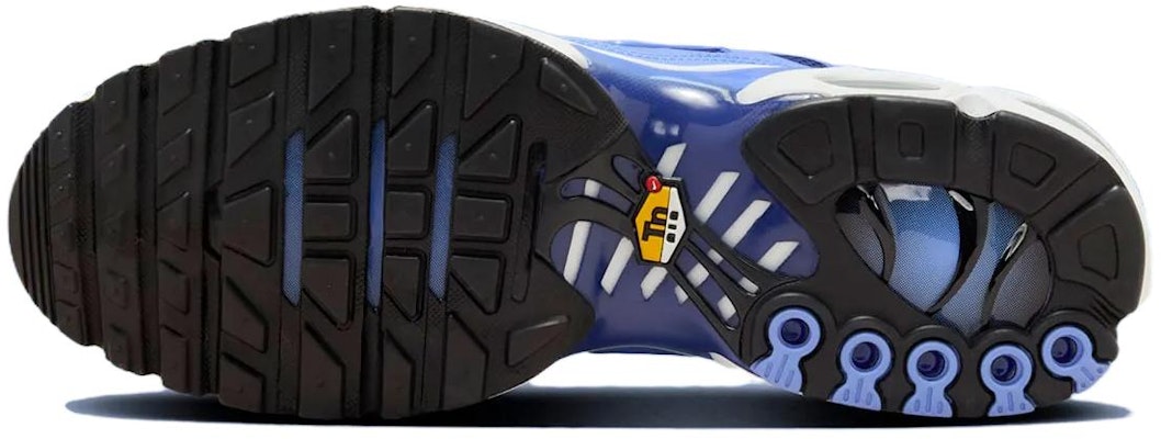 Nike Air Max Plus 'Pulso Real' DM0032-403 Details for Nike Air Max Plus 'Pulso Real' DM0032-403