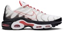 Buy 耐克 Air Max Plus '手写钩' CK9392-100