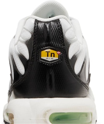 Nike Air Max Plus 'Seafoam Grey Black' DH4776-100 Sizing Nike Air Max Plus 'Seafoam Grey Black' DH4776-100