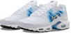 Nike Air Max Plus 'Semburan Cat Swoosh' DX8962-100