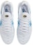 Shop Nike Air Max Plus 'Semburan Cat Swoosh' DX8962-100