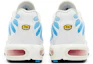 Details for Nike Air Max Plus 'Tide' 2022 604133-423