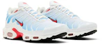 Cheap Nike Air Max Plus 'Tide' 2022 604133-423