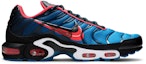 Buy Nike Air Max Plus 'Kapsul Masa' CT1618-400