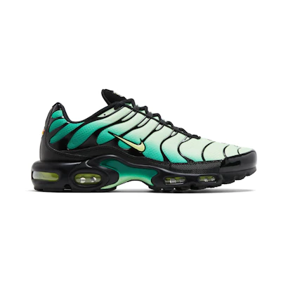 Nike Air Max Plus 'Vapor Green Gradient'