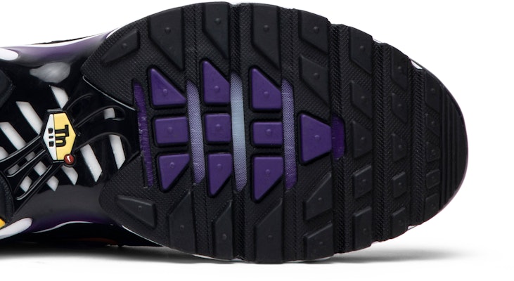 Nike Air Max Plus 'Voltage Purple' BQ4629-002 Purchase Nike Air Max Plus 'Voltage Purple' BQ4629-002