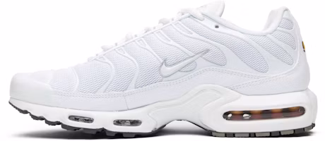 Lookbook Nike Air Max Plus『白』604133-139
