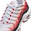 Details for Nike Air Max Plus 'Blanco Negro Rojo Universitario' HM9611-100