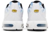 Details for Nike Air Max Plus 'Putih University Blue' DM0032-101