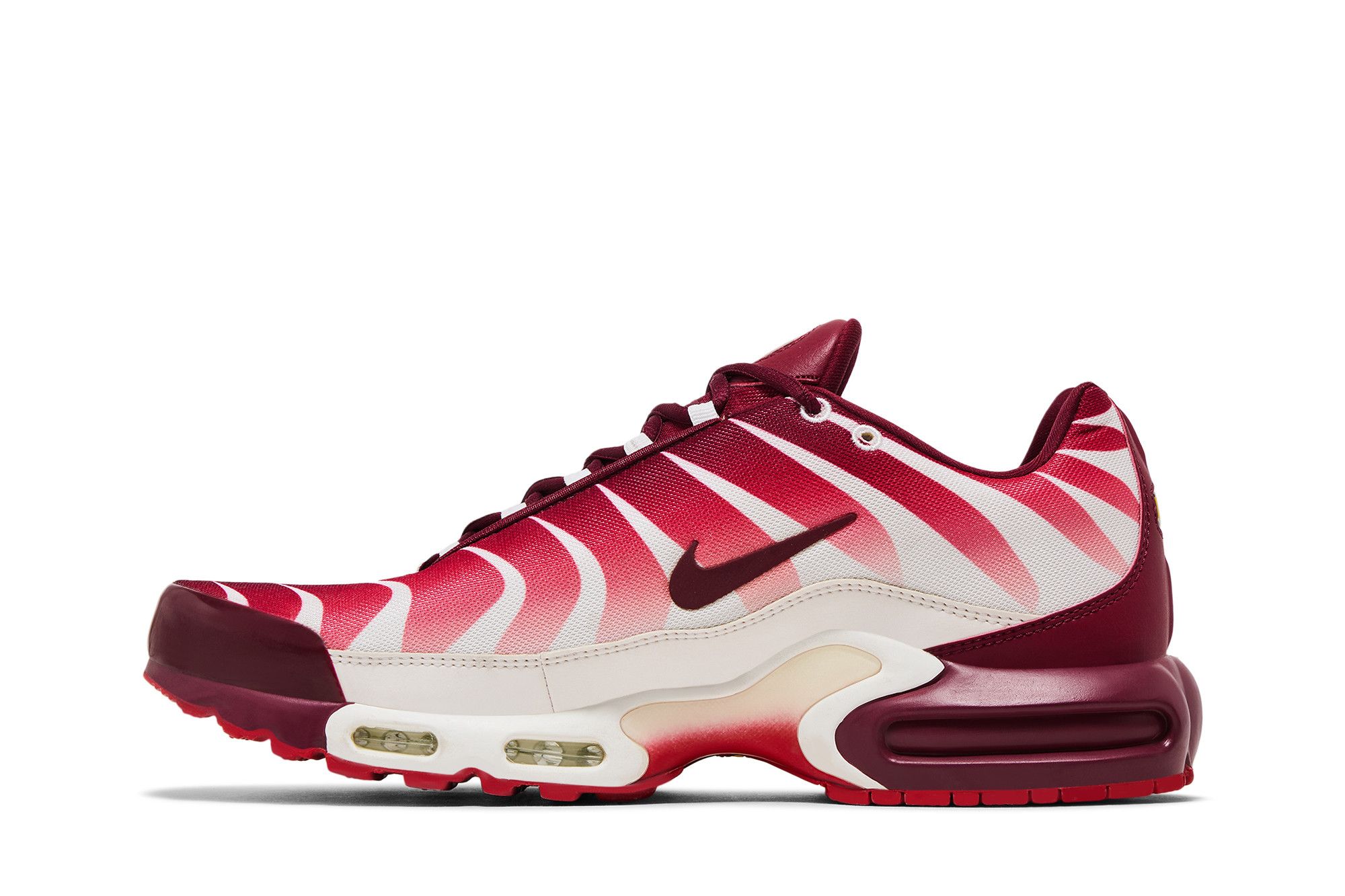 Lookbook Nike Air Max Plus Dopo il Morso AQ0237-101
