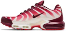 Lookbook Nike Air Max Plus Dopo il Morso AQ0237-101