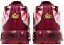 Details for Nike Air Max Plus Dopo il Morso AQ0237-101