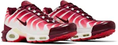 Cheap Nike Air Max Plus Dopo il Morso AQ0237-101