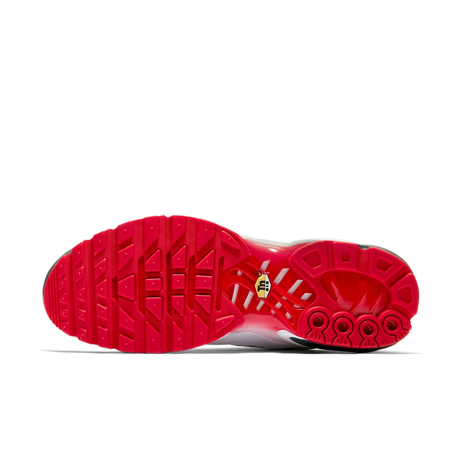 Details for Nike Air Max Plus Voor de Hap AQ0237-100