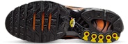 Order Nike Air Max Plus Black/Black/Total Orange DM0032-025