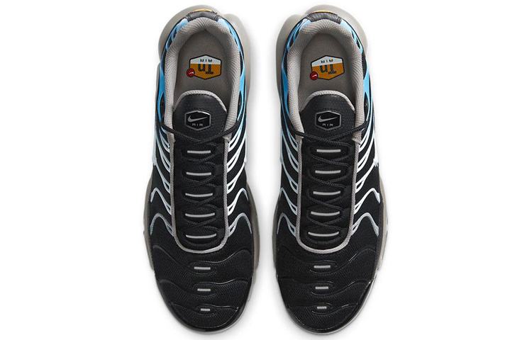 Shop 나이키 에어맥스 플러스 블랙/블루 CT1097-002