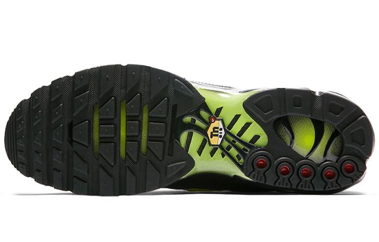 Details for Nike Air Max Plus Black Volt Glow AJ2013-001