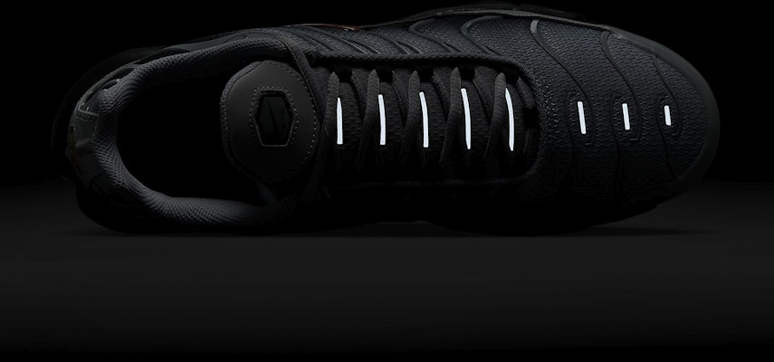 Nike Air Max Plus DM0032-011 1