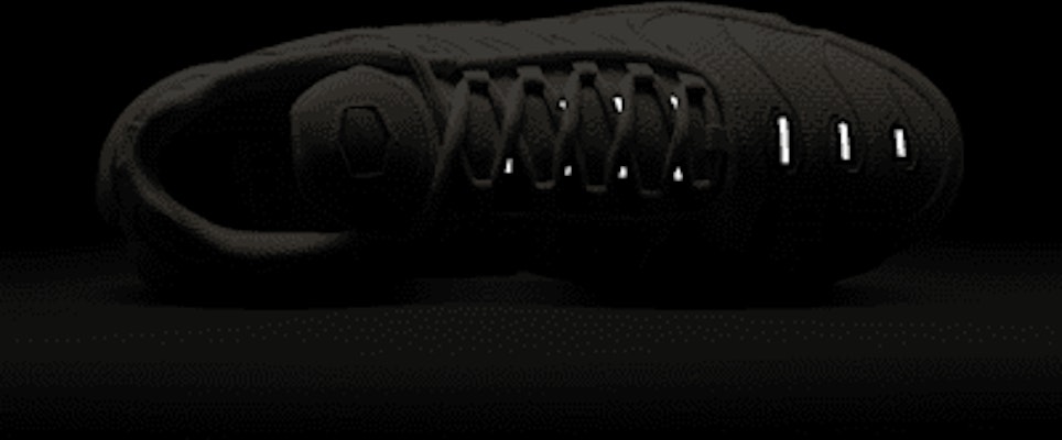 Nike Air Max Plus DM0032-019 1