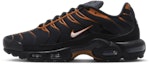 Buy Nike Air Max Plus Lelaki/Wanita FN6949-400