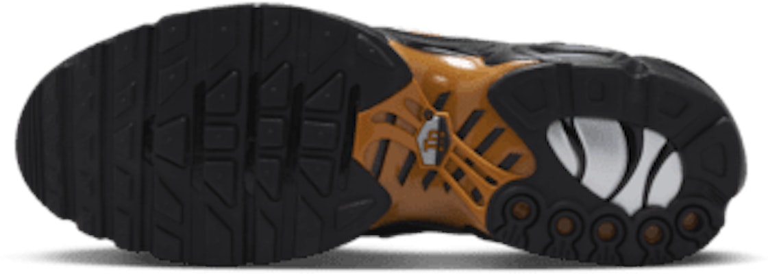 Nike Air Max Plus FN6949-400 Order Nike Air Max Plus FN6949-400