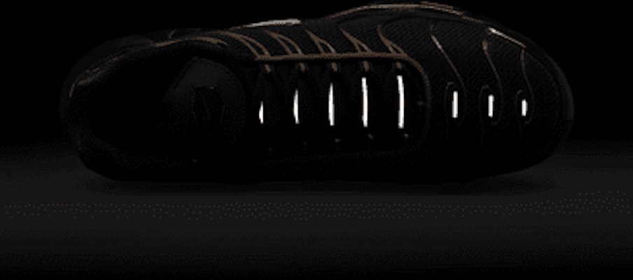 Nike Air Max Plus FN6949-400 1