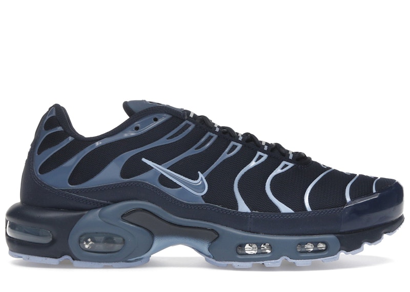 Nike Air Max Plus 'Obsidian Aluminum' IM6601-451