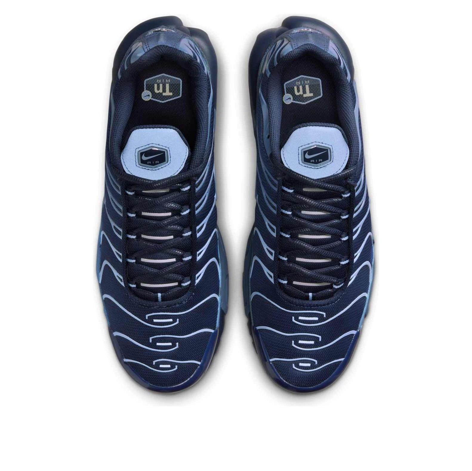 Lookbook Nike Air Max Plus Obsidian Aluminium Herrenschuhe IM6601-451