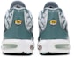 Details for Nike Air Max Plus Pokok Palma Hijau CI2301-300