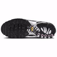 Details for Nike Air Max Plus Premium ''Schwarz Metallisch Silber'' HQ3029-001