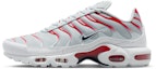 Buy Nike Air Max Plus Pure Platinum/University Red/White/Midnight Navy DM0032-034