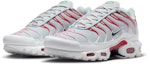 Purchase Nike Air Max Plus Pure Platinum/University Red/White/Midnight Navy DM0032-034