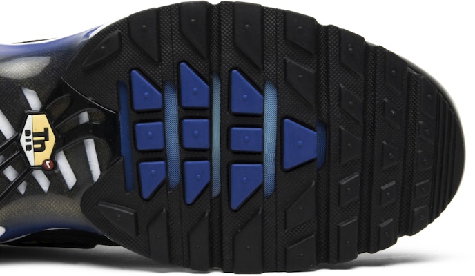 Nike Air Max Plus The Shark France AJ6301 400