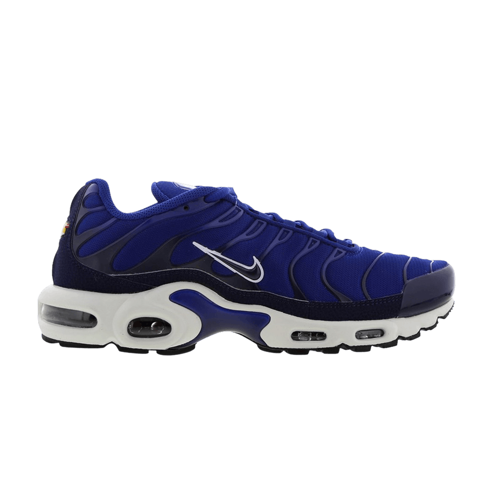 Nike Air Max Plus TN 'Indigo Force' 852630-409