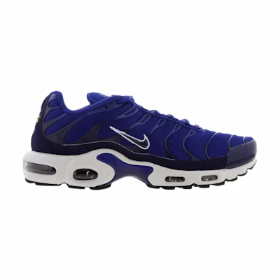 Nike Air Max Plus TN 'Indigo Force'