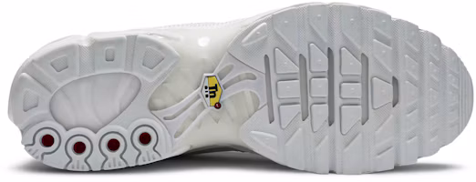 Shop Nike Air Max Plus TN 「純白」 AJ2029-100