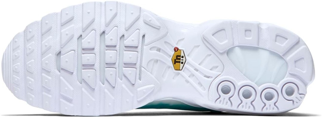 耐克Air Max Plus泳池水绿 899595-301 Details for 耐克Air Max Plus泳池水绿 899595-301